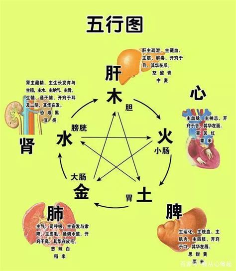 五行对应的器官|《黄帝内经》脏腑五色、五味、五脏、五官、五行相互的养生之道！